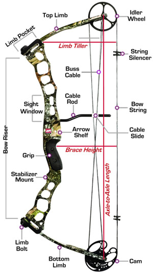 Arcehry Compound Bow Construction And Parts Illustration